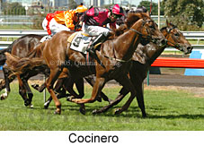 Cocinero (14872 bytes)