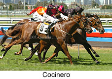 Cocinero (14872 bytes)