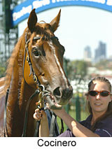 Cocinero (14872 bytes)