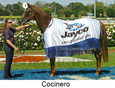 Cocinero (14872 bytes)