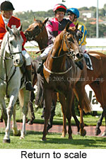 Return to scale (15361 bytes)