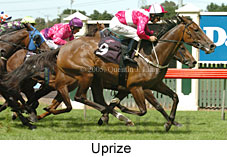 Uprize (14872 bytes)