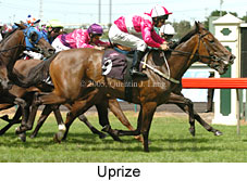 Uprize (14872 bytes)