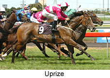 Uprize (14872 bytes)