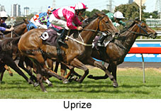 Uprize (14872 bytes)