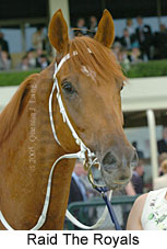 Raid The Royals (14872 bytes)