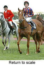 Return to scale (15361 bytes)