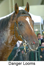 Danger Looms (14872 bytes)