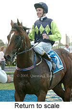 Return to scale (15361 bytes)