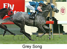 Grey Song (17076 bytes)