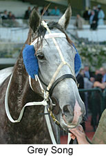 Grey Song (14872 bytes)