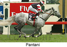 Pantani (14872 bytes)