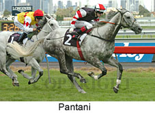 Pantani (14872 bytes)