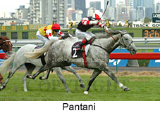 Pantani (14872 bytes)