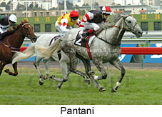 Pantani (14872 bytes)
