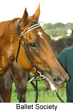 Ballet Society (14872 bytes)