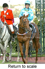 Return to scale (15361 bytes)