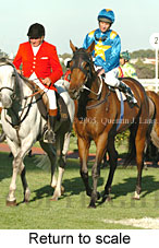 Return to scale (15361 bytes)