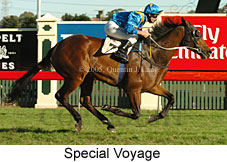 Special Voyage (14872 bytes)