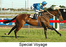 Special Voyage (14872 bytes)