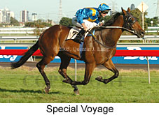 Special Voyage (14872 bytes)