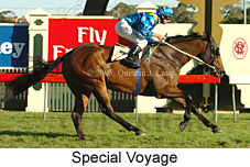 Special Voyage (14872 bytes)