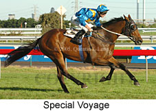 Special Voyage (14872 bytes)