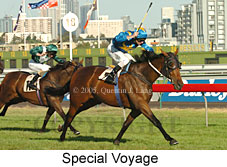 Special Voyage (14872 bytes)