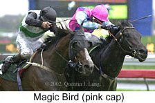 r3magicbird.jpg (13791 bytes)