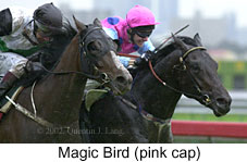 r3magicbird2.jpg (12353 bytes)