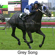 r5greysong.jpg (13719 bytes)