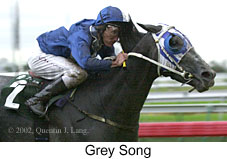 r5greysong2.jpg (11999 bytes)