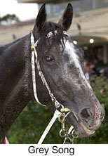 r5greysong3.jpg (12027 bytes)