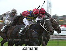 r8zamarin.jpg (13515 bytes)