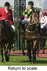 Return to scale (16911 bytes)