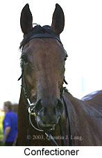 Confectioner (15436 bytes)