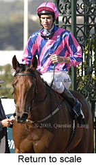 Return to scale (14841 bytes)