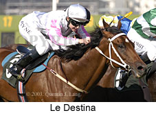 Le Destina (16644 bytes)