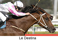 Le Destina (14878 bytes)