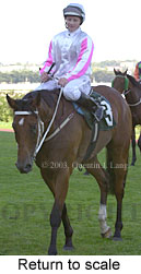 Return to scale (11693 bytes)