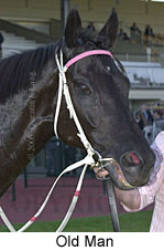 Old Man (11363 bytes)