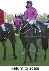 Return to scale (13255 bytes)