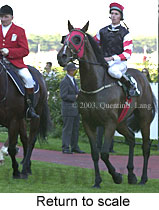 Return to scale (14109 bytes)