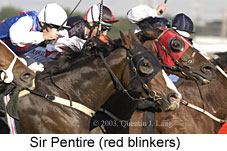 Sir Pentire (16562 bytes)