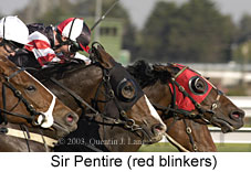 Sir Pentire (16473 bytes)