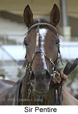 Sir Pentire (10878 bytes)