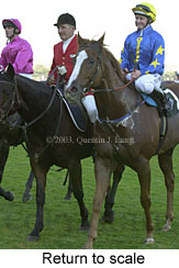 Return to scale (15088 bytes)