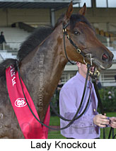 Lady Knockout (13514 bytes)