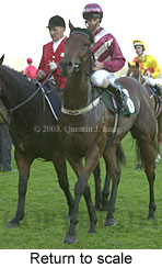 Return to scale (13352 bytes)