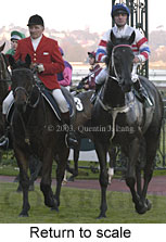 Return to scale (13808 bytes)